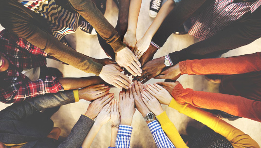 inclusion